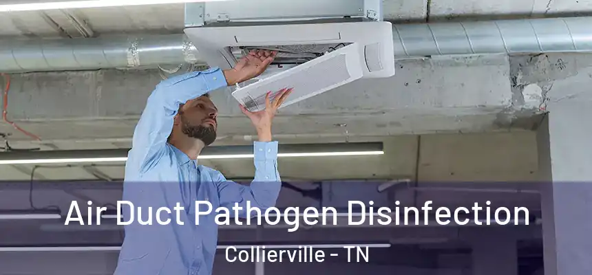 Air Duct Pathogen Disinfection Collierville - TN