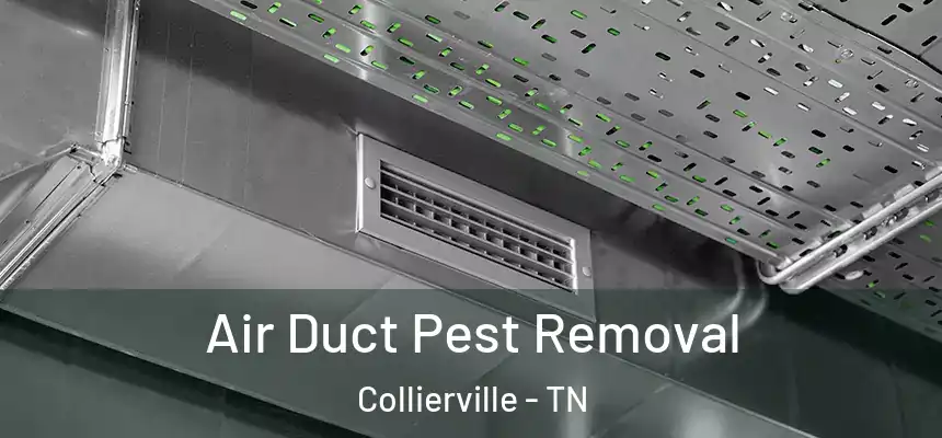  Air Duct Pest Removal Collierville - TN