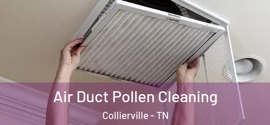 Air Duct Pollen Cleaning Collierville - TN
