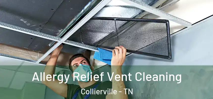 Allergy Relief Vent Cleaning Collierville - TN