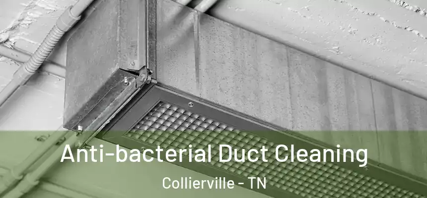  Anti-bacterial Duct Cleaning Collierville - TN