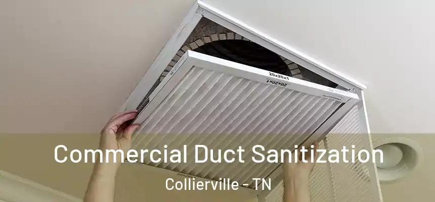  Commercial Duct Sanitization Collierville - TN