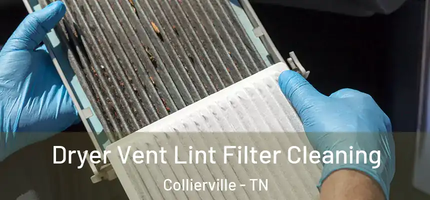  Dryer Vent Lint Filter Cleaning Collierville - TN