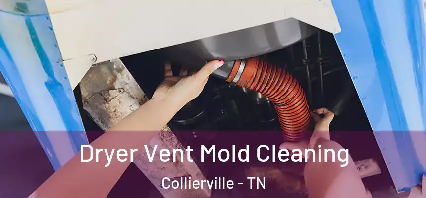 Dryer Vent Mold Cleaning Collierville - TN