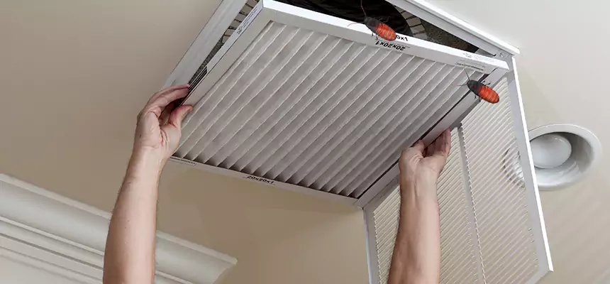 Preventive Cockroach-Proofing for Ducts in Collierville