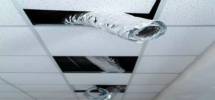 Affordable HVAC Sanitizing After Pest Removal in Collierville