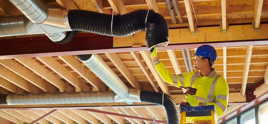 Replacing a Dryer Hose in Collierville, TN