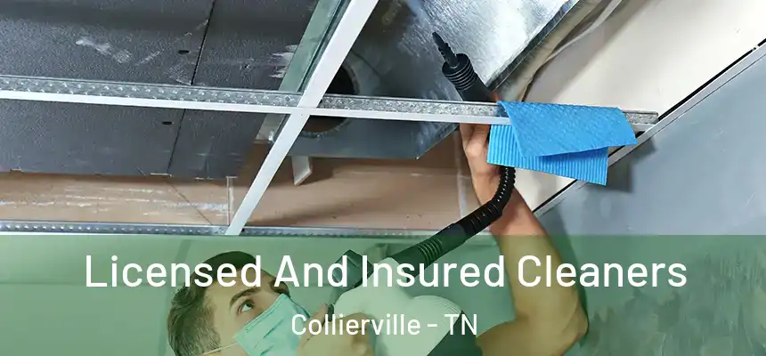 Licensed And Insured Cleaners Collierville - TN