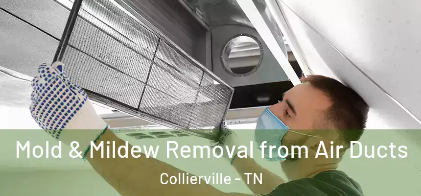  Mold & Mildew Removal from Air Ducts Collierville - TN