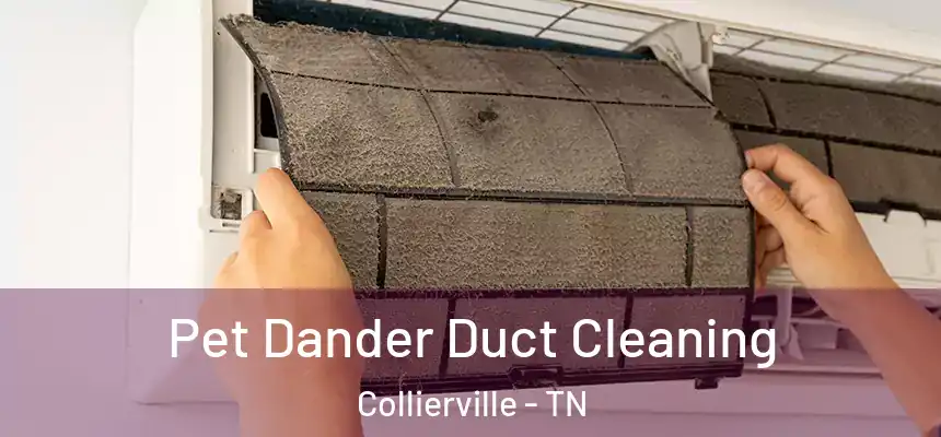  Pet Dander Duct Cleaning Collierville - TN