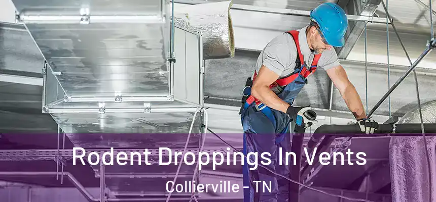  Rodent Droppings In Vents Collierville - TN