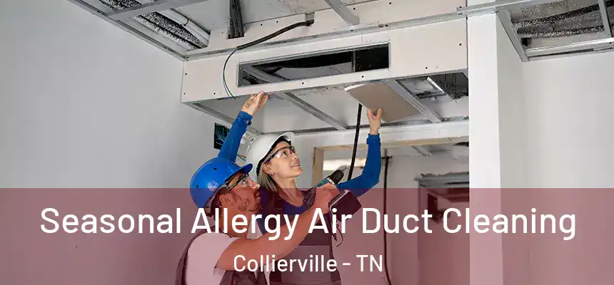  Seasonal Allergy Air Duct Cleaning Collierville - TN