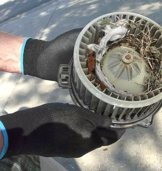 About Air Duct Rat Removal in Collierville, TN