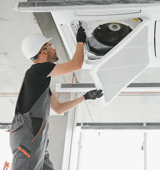 About Air Duct Rodent Removal in Collierville, TN