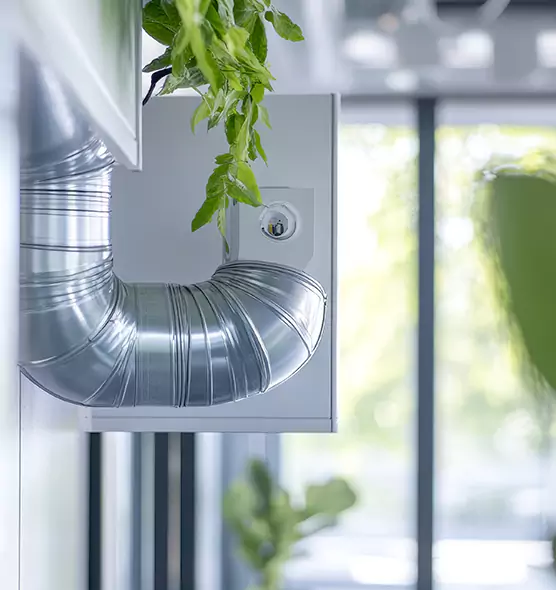 Professional Eco-Friendly Duct Cleaning Services in Collierville, TN