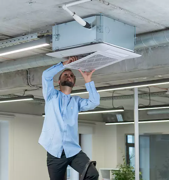 Advanced Rodent Droppings In Vents in Collierville, TN