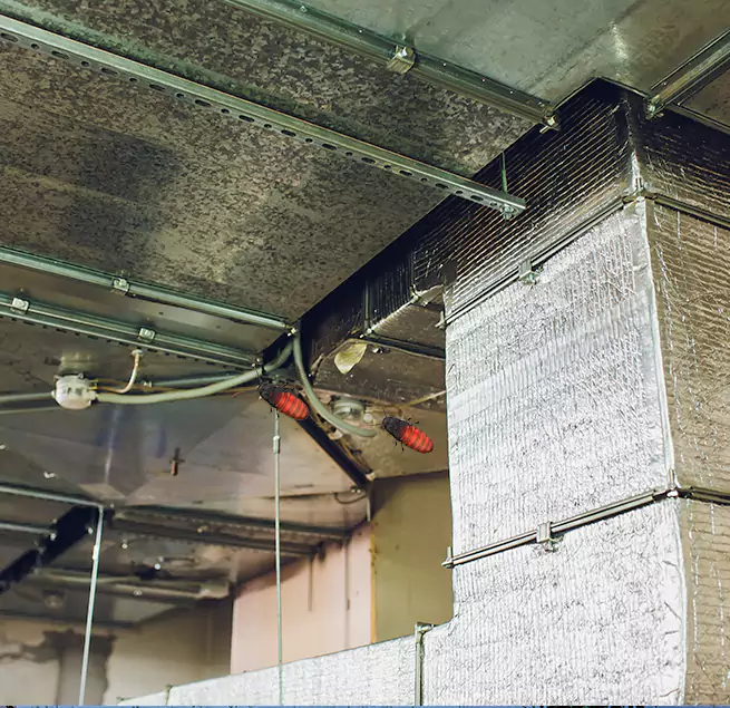 Why Homeowners & Businesses Trust Us in Collierville, TN?