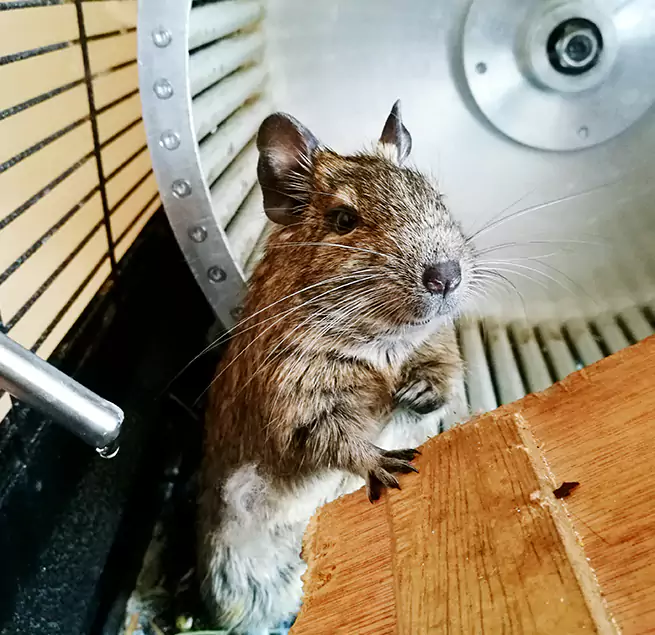 Why Homeowners & Businesses Trust Us Collierville, TN