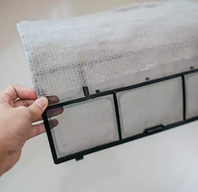 Why Homeowners & Businesses Trust Us in Collierville, TN?