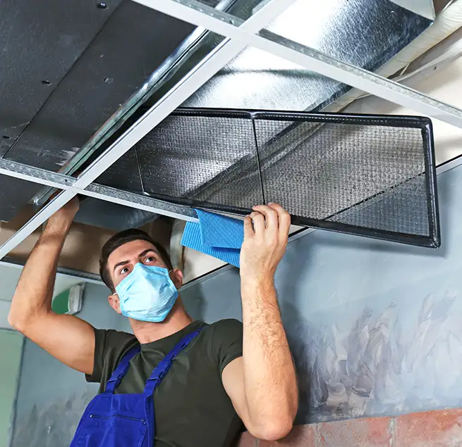 Why Homeowners & Businesses Trust Us in Collierville, TN?