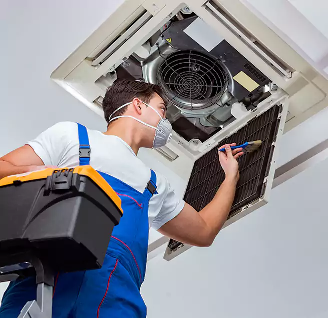 Why Homeowners & Businesses Trust Us in Collierville, TN?